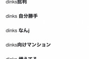 【悲報】「DINKS(子供を作る意思の無い共働き夫婦)」に嫉妬が爆発