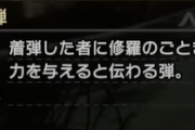 【MHR:SB】回復弾や鬼人弾とかってまだあるんだな【モンハンライズ：サンブレイク】