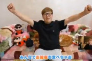 ヒカキンさん　動画ノーチェックでミニキンの顔面を公開してしまう