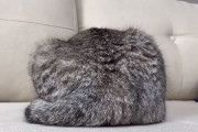 猫のプリケツやで