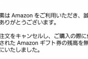 【終国】匿名はてな民「聞いて！Amazonアカウント凍結されて4000冊の電子書籍が一瞬で吹っ飛んだの！」←これ?