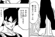 ベジータ「貴様が戦闘服を着ても活躍の場がないぞ」　悟空「おめえがセルを倒しちまうからだろ？」ﾆﾔｯ
