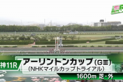 【アーリントンC】オオバンブルマイ＆武豊騎手がｷﾀ━━━━(ﾟ∀ﾟ)━━━━!!
