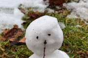【画像】ワイが作った雪だるま見て