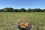 【良い天気】今から公園で唐揚げ食うわwwww【画像あり】