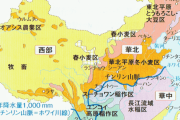 【終了】ついに中国でバッタの侵略始まる　既に被害は8千ヘクタール