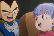 ブルマってよくベジータと一緒になったよな