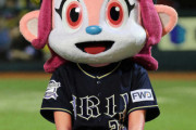 12球団最かわマスコットってバファローベルじゃなくて