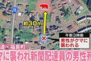 【北海道】新聞配達員、住宅地でヒグマに襲われて笹やぶに引きずり込まれ死亡