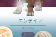 【ポケモンGO】レイドあるある「低TLが入ってきて二人きりなのに準備OK！」