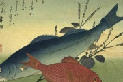 江戸時代の魚の格付けｗｗｗ