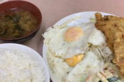 田舎でハムカツ定食500円頼んだらこんなん出てきた(T^T)