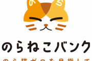 【炎上】『ねこホーダイ』運営「何の制限もなく猫を譲り受けたり手放せるサブスクではない」「レンタルでもないし虐待防止策もある」