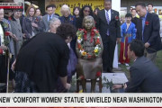 黙れ韓国！ほんとうざい！なんでアメリカ？韓国系アメリカ人がワシントン近郊に慰安婦像を設置 海外の反応