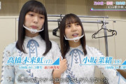 【日向坂46】可愛すぎるｗみくにんになつくこさかなｗｗｗｗ