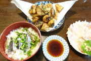 釣った魚で料理つくった（※画像あり）