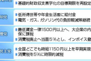 経済公約、家計支援策ずらり　財源論置き去り、見えぬ成長戦略―衆院選【公約比較】