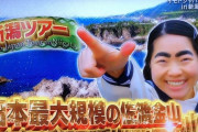 【安価】彡(ﾟ)(ﾟ)「旅行行くで」