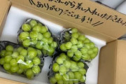 【＝LOVE / ≒JOY】指原プロデューサー、今年もイコジョイちゃんに葡萄を差し入れ🍇