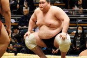 照ノ富士、熱海富士へ「一緒に優勝しような！」