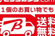 ビックカメラ、2000円以下でも送料無料に  [9/6]