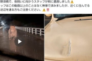 北海道の牧場作業員が巨大ヒグマに遭遇　車体に爪痕クッキリ
