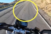 これは悲惨（ノ∇`）ヘルメットの中に蜂に飛び込まれたバイク乗りｗｗｗ