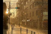 【大阪】まるで映画のワンシーン...！　夕日の中、大粒の雨がキラキラ輝く大阪の街が幻想的で美しい