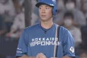 日ハム松本剛.353（首位打者）←すげえ！