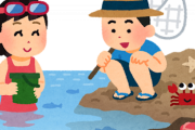 磯の生き物好き奴あちゅまぇー！！