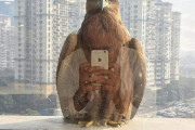 【画像】窓の外にカッコイイ鳥が来てたんだがwwwｗｗｗｗwwwｗｗｗｗ
