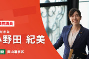 小野田紀美議員「旭日旗ネガキャンする輩のせいで、使用断念している団体や方々がいましたら、反論材料としてコチラをお使いください」