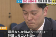 「辞職しろコノヤロー」知事選めぐり兵庫県議に「SNSで誹謗中傷」 県議会が法整備求め国に意見書提出へ