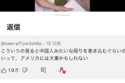 日本人「日本人もアメリカで差別に合わないために中国人みたいな図々しさを備えるべき！」→賛同殺到