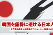 日本人「韓国との関係は健康？どこが？文在寅の言葉は非現実的だ」　正論だな…
