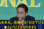 岸田総理「消費税を引き下げると、消費が減退する」