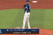西武ウィンゲンター、イライラしながら1回2K無失点
