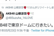 横山由依「目標は東京ドーム」←叩かれる山根涼羽「目標は東京ドーム」←叩かれない←この違い