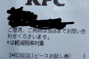 【悲報】( ヽ´ん`) さん、KFCの0円チキンに殺到