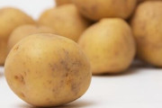 【速報】ジャガイモ、絶対にご飯に合わないことが判明