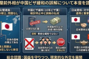 岩屋毅前外相、中学生記者相手に愚痴「中国人向けにビザ発行を緩和、私が実行したような虚偽情報。検討はしたが自民内部の反対で一旦止めています」