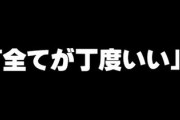 プロポーズしてOKくれた彼女に、「俺のどこが良くて付き合ったの」って聞いたら　全てが丁度いいって言われたんだがどういう事？