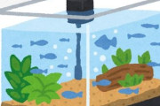 アクア民さん「水槽安い！欲しい！けど、置くとこない！でも買う！！」