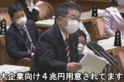 自民党さん、コロナ危機のドサクサに返済不要の大企業優遇制度を潜り込ませてた！　「今は庶民や中小企業・医療らに税金を使うべき！優先順位がおかしい！」