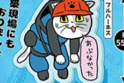 【朗報】現場猫、書籍化　