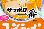 ご当地麺総選挙  札幌ラーメンが1位