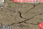 【悲報】頼みの新米に異変　干上がる田んぼに…枯れ始める苗　コメ農家悲鳴「心折れそう」（大分）