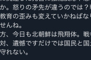 【悲報】丸山穂高「これが敗戦国の末路か」