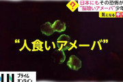 アメリカテキサス州の水道水に「脳食いアメーバ」 水道使用中止に