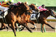 【下だらけ】クセが強い競走馬1位が決定してしまうｗｗｗｗ